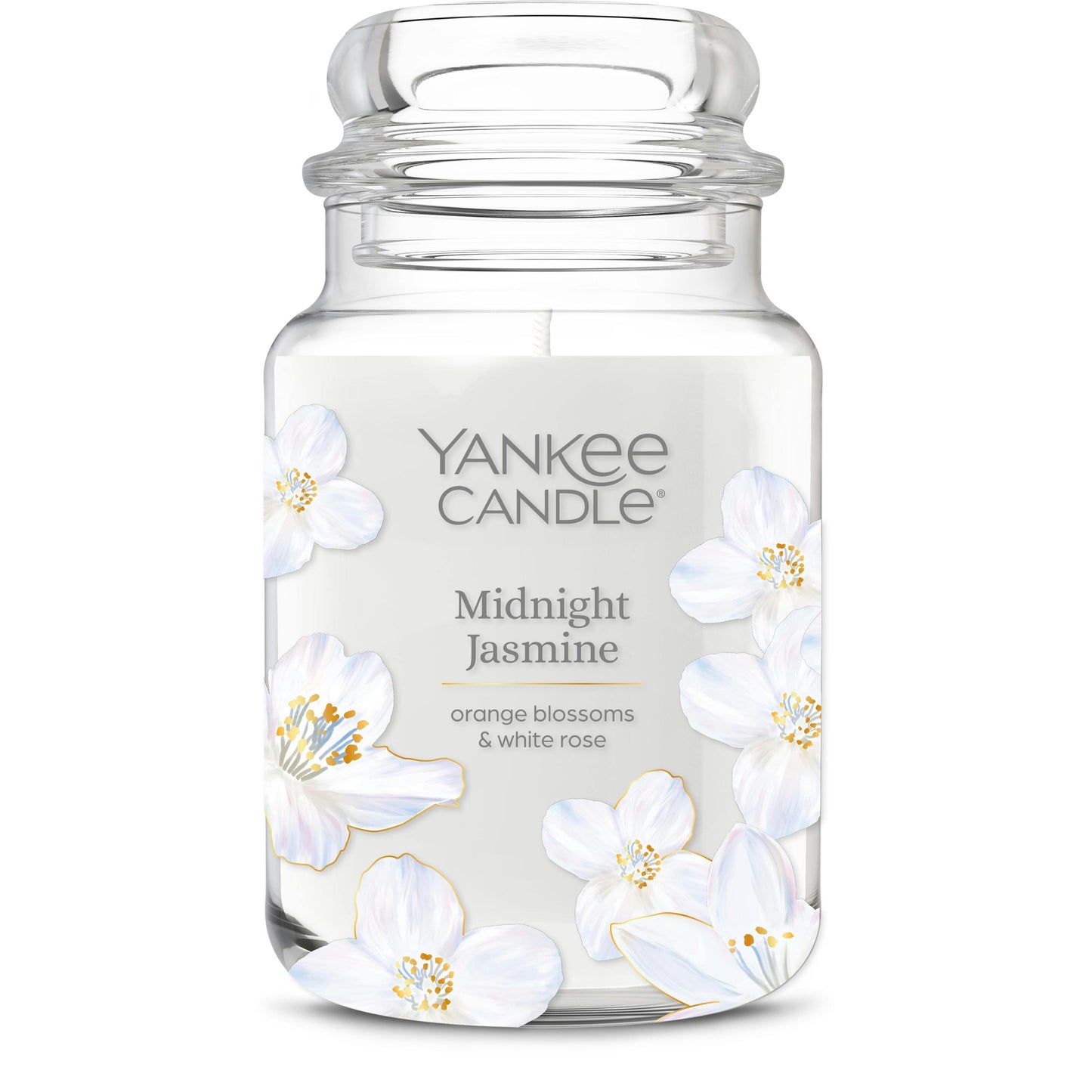 Midnight Jasmine jpm85
