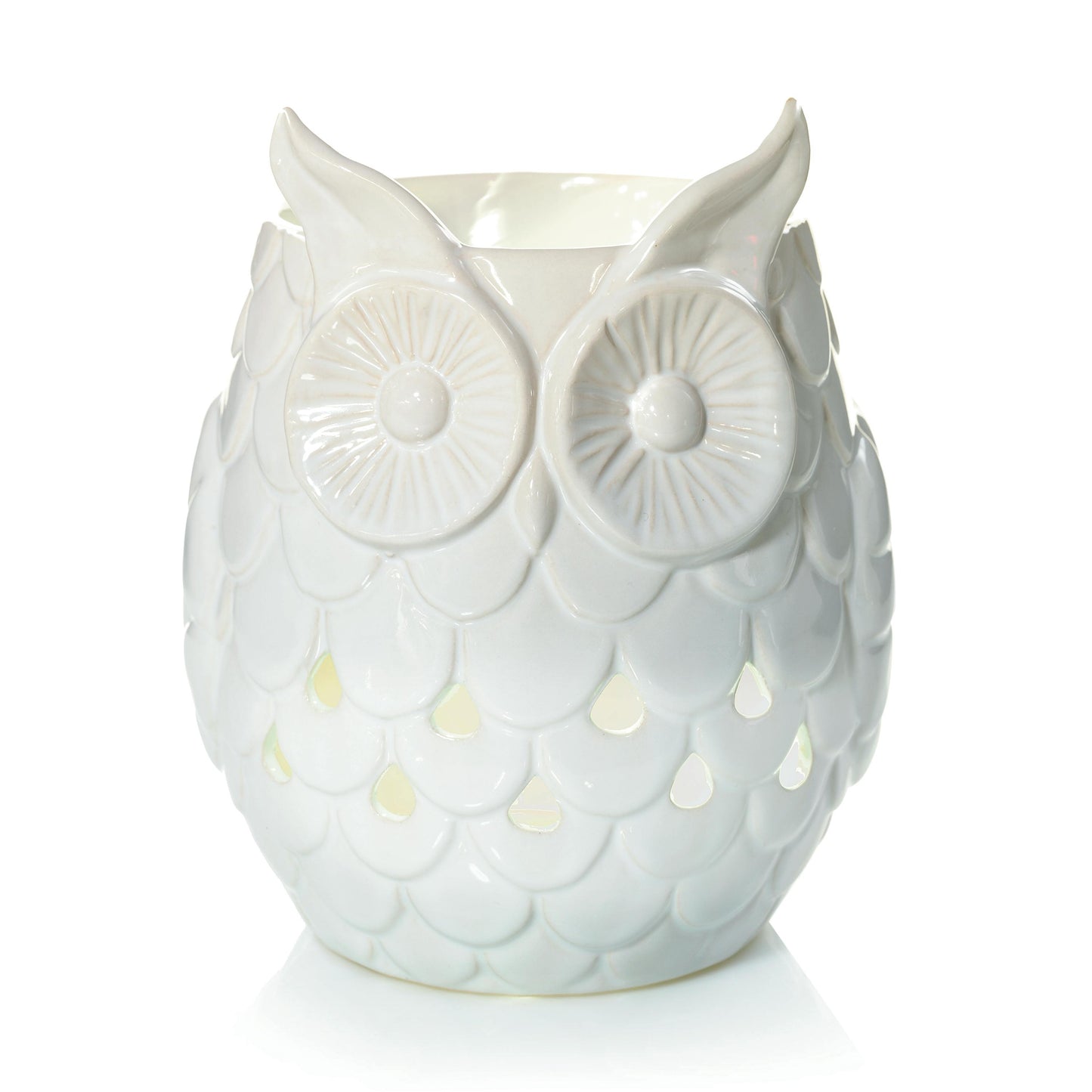 Owl 7b2jm