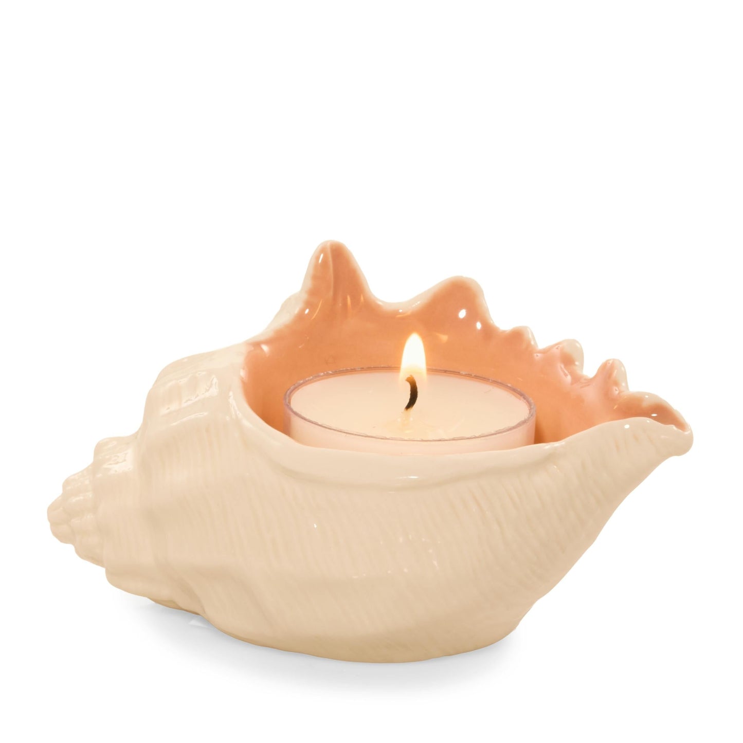 Seashell Tea Light Candle Holder k7cwk