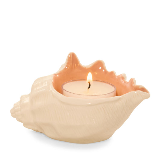 Seashell Tea Light Candle Holder k7cwk