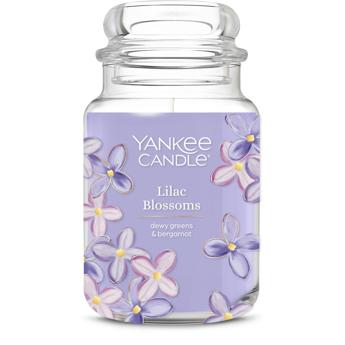 Lilac Blossoms dgbpd