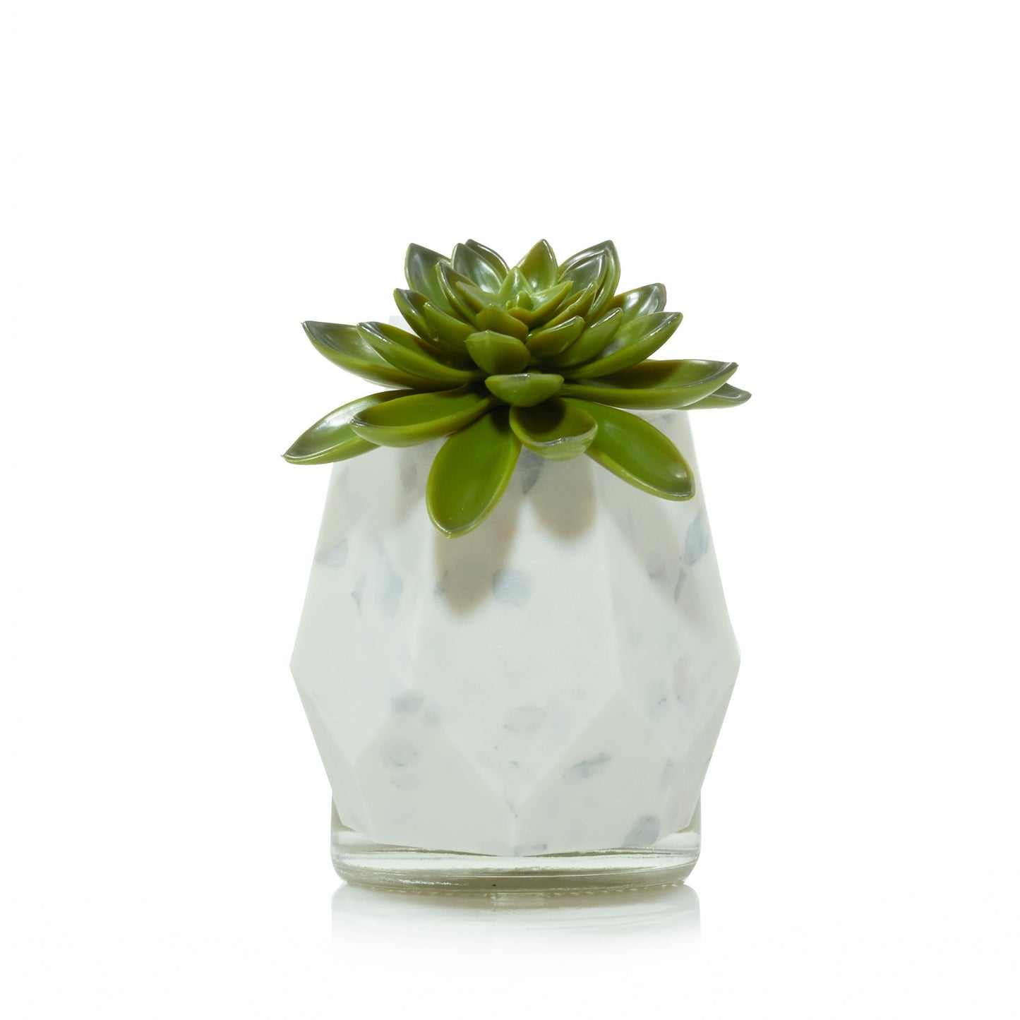 Faceted Succulent ScentPlug® Diffuser with Light wx9ak