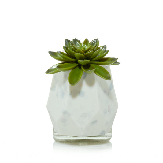 Faceted Succulent ScentPlug® Diffuser with Light wx9ak